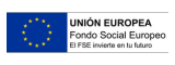 Logo de FSE